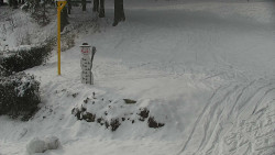 Běžecký lyžařský areál Nová Ves - horní část