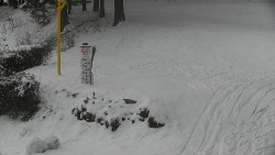 Běžecký lyžařský areál Nová Ves - horní část