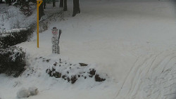 Běžecký lyžařský areál Nová Ves - horní část