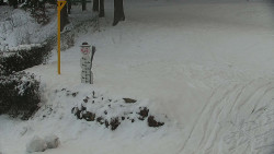 Běžecký lyžařský areál Nová Ves - horní část