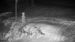 Běžecký lyžařský areál Nová Ves - horní část