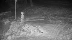 Běžecký lyžařský areál Nová Ves - horní část