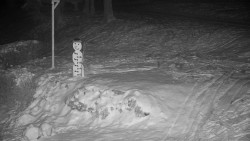 Běžecký lyžařský areál Nová Ves - horní část