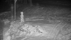 Běžecký lyžařský areál Nová Ves - horní část