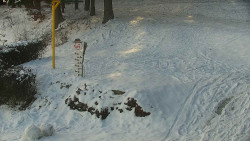 Běžecký lyžařský areál Nová Ves - horní část