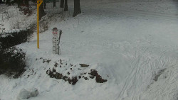 Běžecký lyžařský areál Nová Ves - horní část