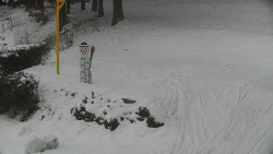 Běžecký lyžařský areál Nová Ves - horní část