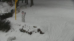 Běžecký lyžařský areál Nová Ves - horní část