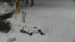 Běžecký lyžařský areál Nová Ves - horní část