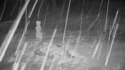 Běžecký lyžařský areál Nová Ves - horní část