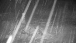 Běžecký lyžařský areál Nová Ves - horní část