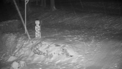 Běžecký lyžařský areál Nová Ves - horní část