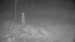 Běžecký lyžařský areál Nová Ves - horní část