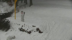 Běžecký lyžařský areál Nová Ves - horní část