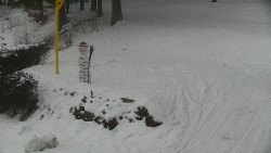 Běžecký lyžařský areál Nová Ves - horní část