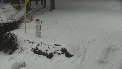 Běžecký lyžařský areál Nová Ves - horní část