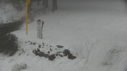 Běžecký lyžařský areál Nová Ves - horní část