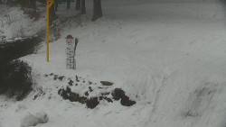 Běžecký lyžařský areál Nová Ves - horní část