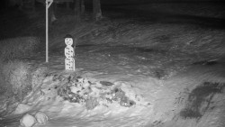 Běžecký lyžařský areál Nová Ves - horní část