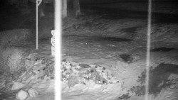 Běžecký lyžařský areál Nová Ves - horní část