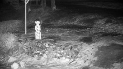 Běžecký lyžařský areál Nová Ves - horní část