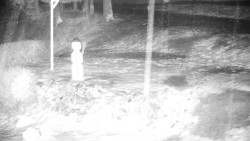 Běžecký lyžařský areál Nová Ves - horní část