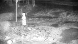 Běžecký lyžařský areál Nová Ves - horní část