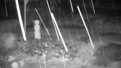 Běžecký lyžařský areál Nová Ves - horní část