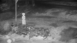 Běžecký lyžařský areál Nová Ves - horní část