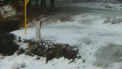 Běžecký lyžařský areál Nová Ves - horní část