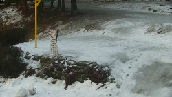 Běžecký lyžařský areál Nová Ves - horní část