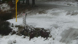 Běžecký lyžařský areál Nová Ves - horní část