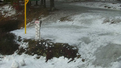 Běžecký lyžařský areál Nová Ves - horní část