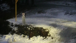 Běžecký lyžařský areál Nová Ves - horní část