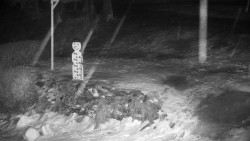 Běžecký lyžařský areál Nová Ves - horní část