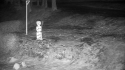 Běžecký lyžařský areál Nová Ves - horní část