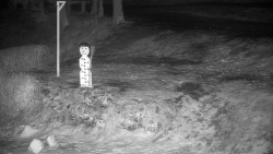 Běžecký lyžařský areál Nová Ves - horní část