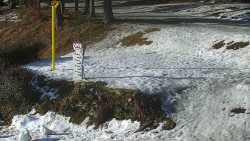 Běžecký lyžařský areál Nová Ves - horní část