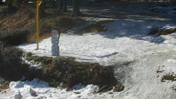 Běžecký lyžařský areál Nová Ves - horní část