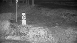 Běžecký lyžařský areál Nová Ves - horní část