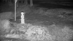 Běžecký lyžařský areál Nová Ves - horní část