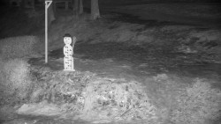 Běžecký lyžařský areál Nová Ves - horní část