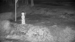 Běžecký lyžařský areál Nová Ves - horní část