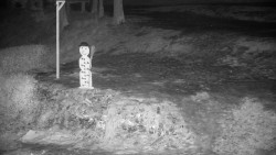 Běžecký lyžařský areál Nová Ves - horní část