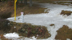 Běžecký lyžařský areál Nová Ves - horní část