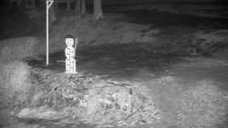 Běžecký lyžařský areál Nová Ves - horní část