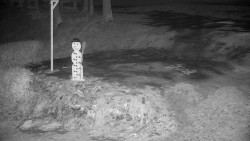 Běžecký lyžařský areál Nová Ves - horní část