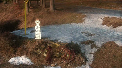 Běžecký lyžařský areál Nová Ves - horní část