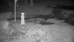 Běžecký lyžařský areál Nová Ves - horní část