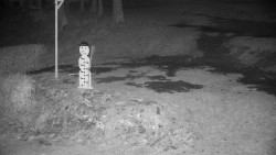 Běžecký lyžařský areál Nová Ves - horní část